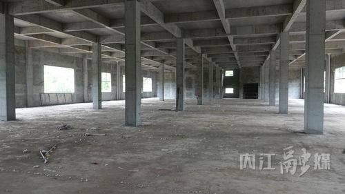 四川新奇味食品農產品加工項目 強產業促振興，預計2026年春節前投產