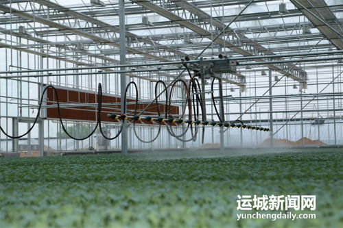 夏縣積極籌備第七屆中國(guó)山西特色農(nóng)產(chǎn)品交易博覽會(huì)，夯實(shí)初級(jí)農(nóng)產(chǎn)品營(yíng)銷(xiāo)基礎(chǔ)