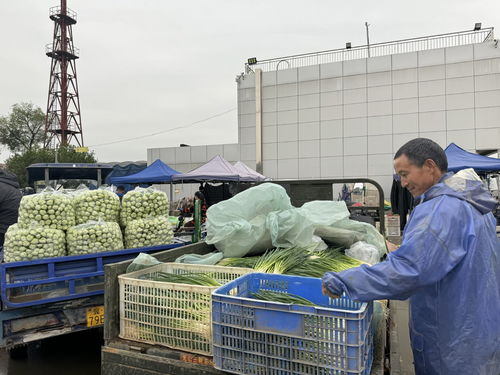 北京新發(fā)地市場 助推商戶打造農(nóng)產(chǎn)品品牌，提升初級農(nóng)產(chǎn)品價(jià)值