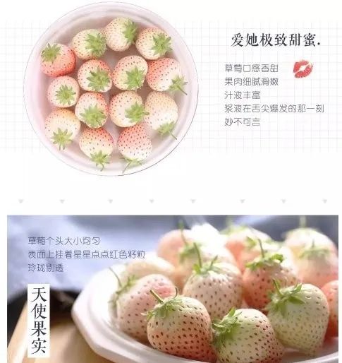 巾幗農(nóng)創(chuàng)銷萬戶 路橋優(yōu)質(zhì)農(nóng)產(chǎn)品線上購