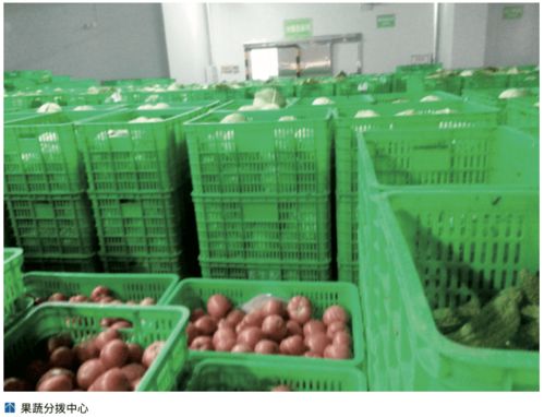 農產品冷鏈‘最先一公里’ 基礎設施亟待發展，破解初級農產品保鮮難題